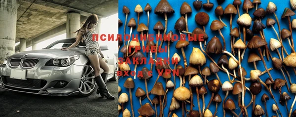 мет Невель