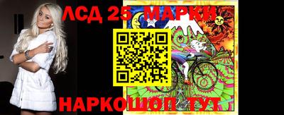 гидра Будённовск