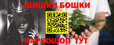 гидра Будённовск