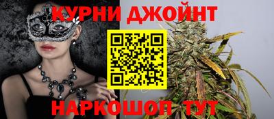 гидра Будённовск