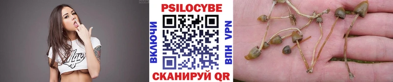 Псилоцибиновые грибы Cubensis даркнет сайт кракен ТОР Соликамск
