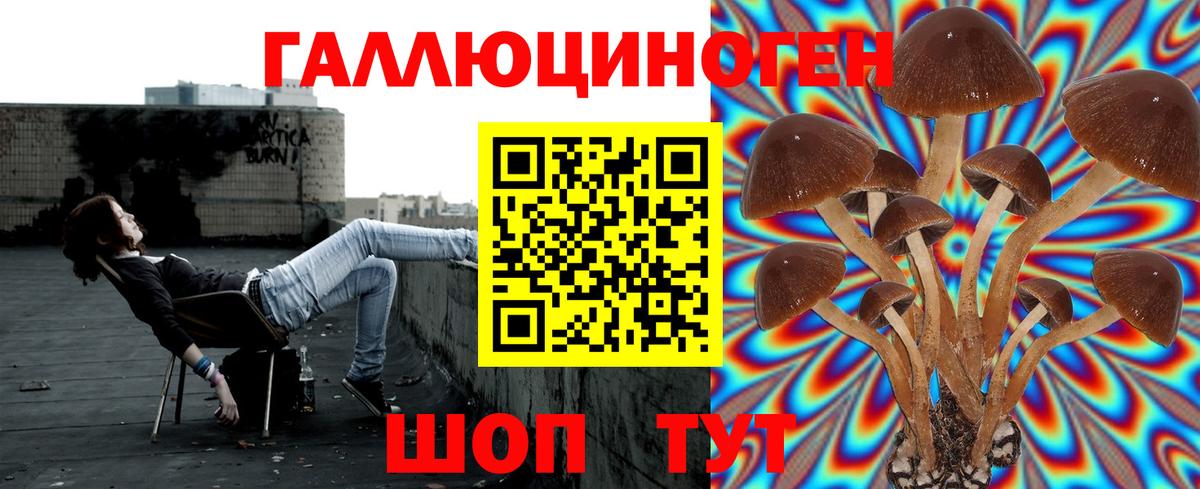 Псилоцибиновые грибы MAGIC MUSHROOMS  купить наркотик  Вход с VPN  Соликамск  Галлюциногенные грибы Cubensis 
